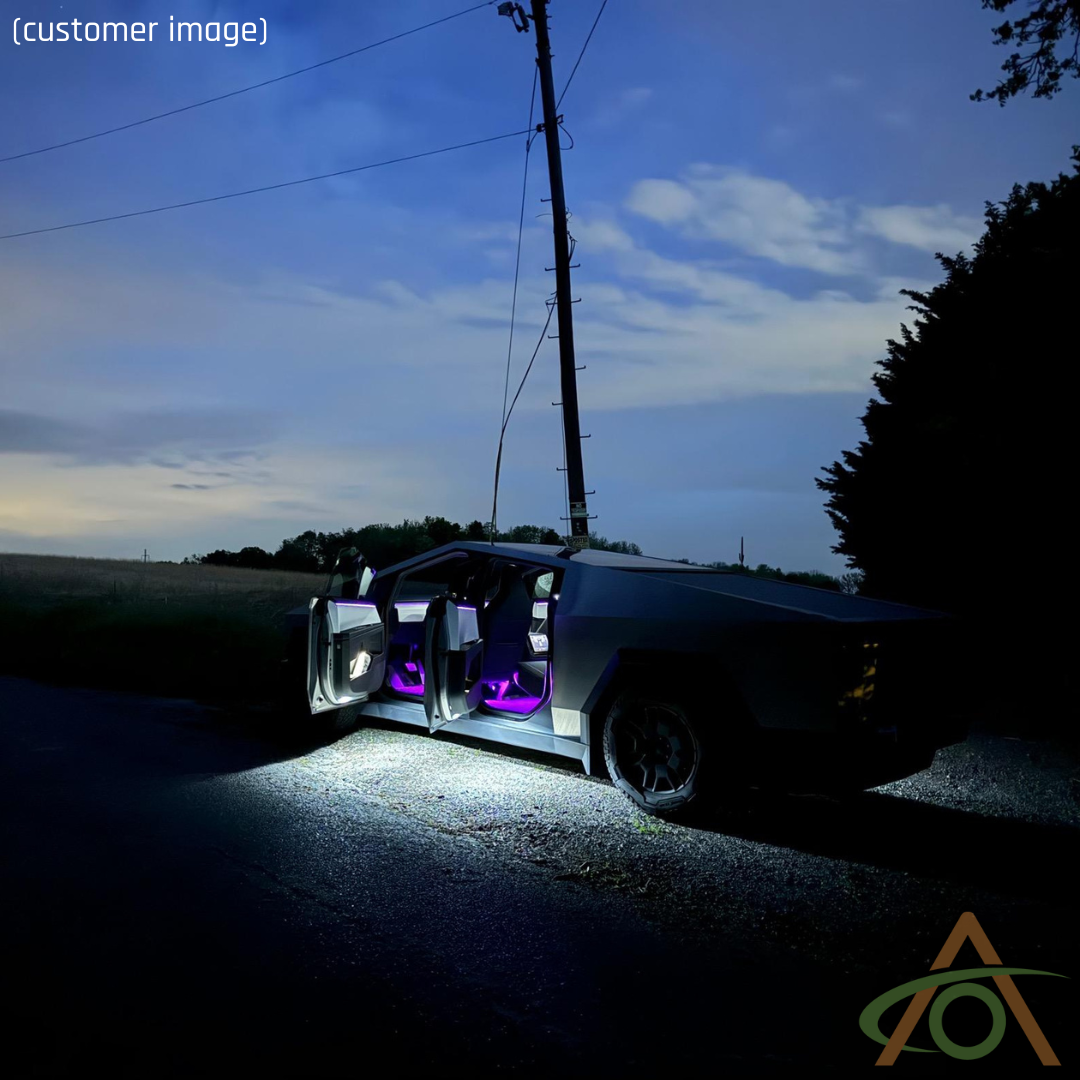 Customer-submitted image, purple interior lights, white lights in the doors
